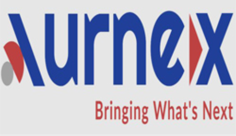 Accounting Software Migration Experts – Aurnex